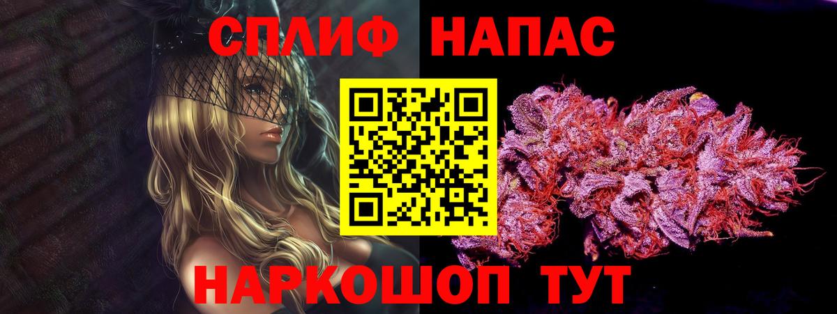Бошки Шишки семена  Канабис AK-47  Гусиноозёрск  Вход с VPN 